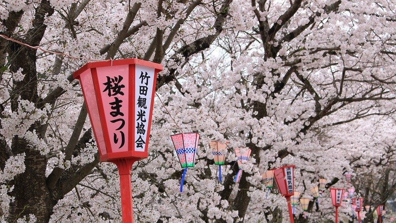 【春の桜まつり】