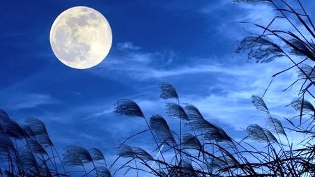 【月がきれいな秋の夜長】