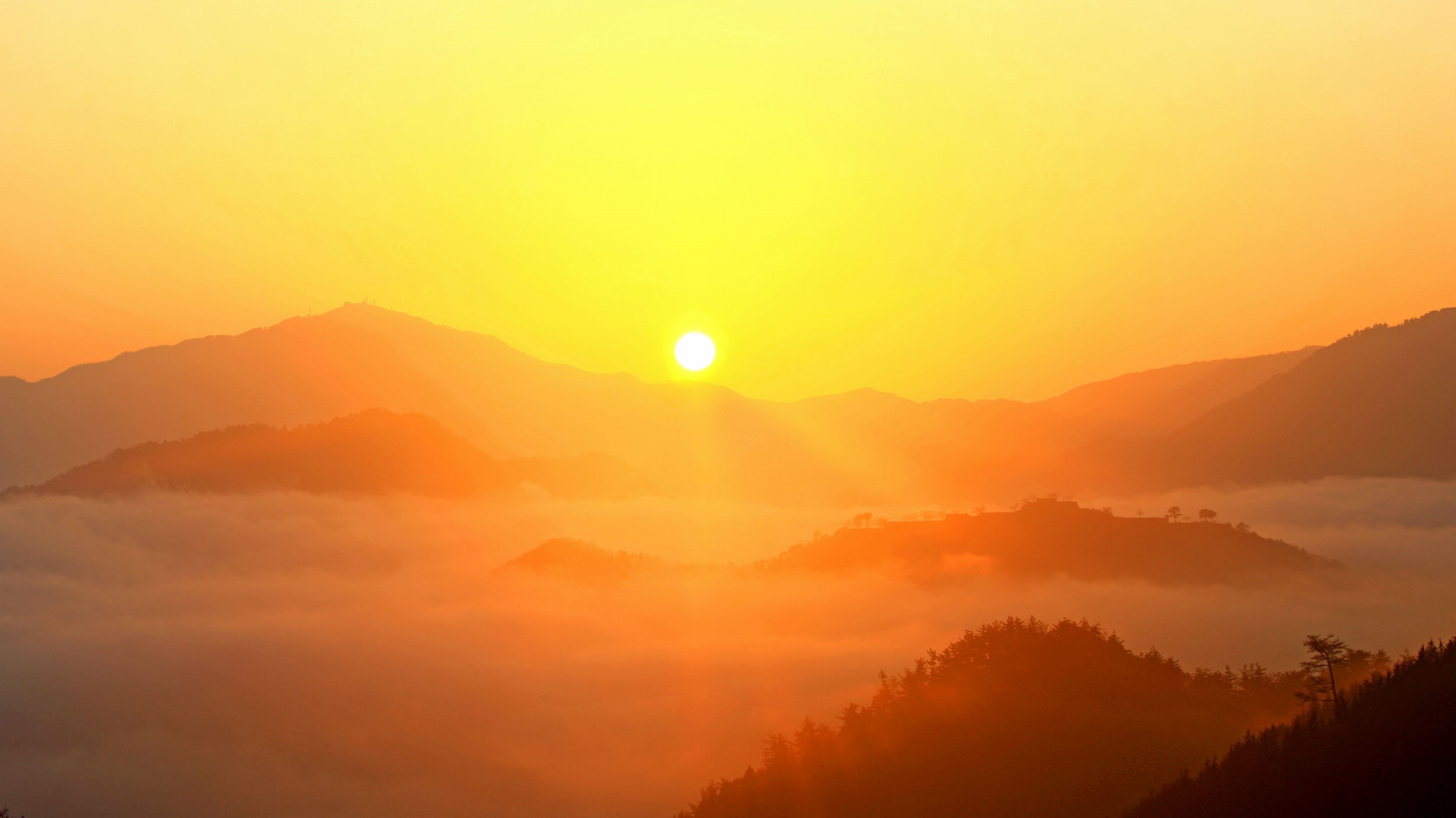 【立雲峡から望む日の出と雲海】写真提供：吉田利栄