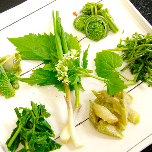 *夕食一例／豊かな山の恵み。松之山の山菜はアクが少なく食べやすいのが特徴です。