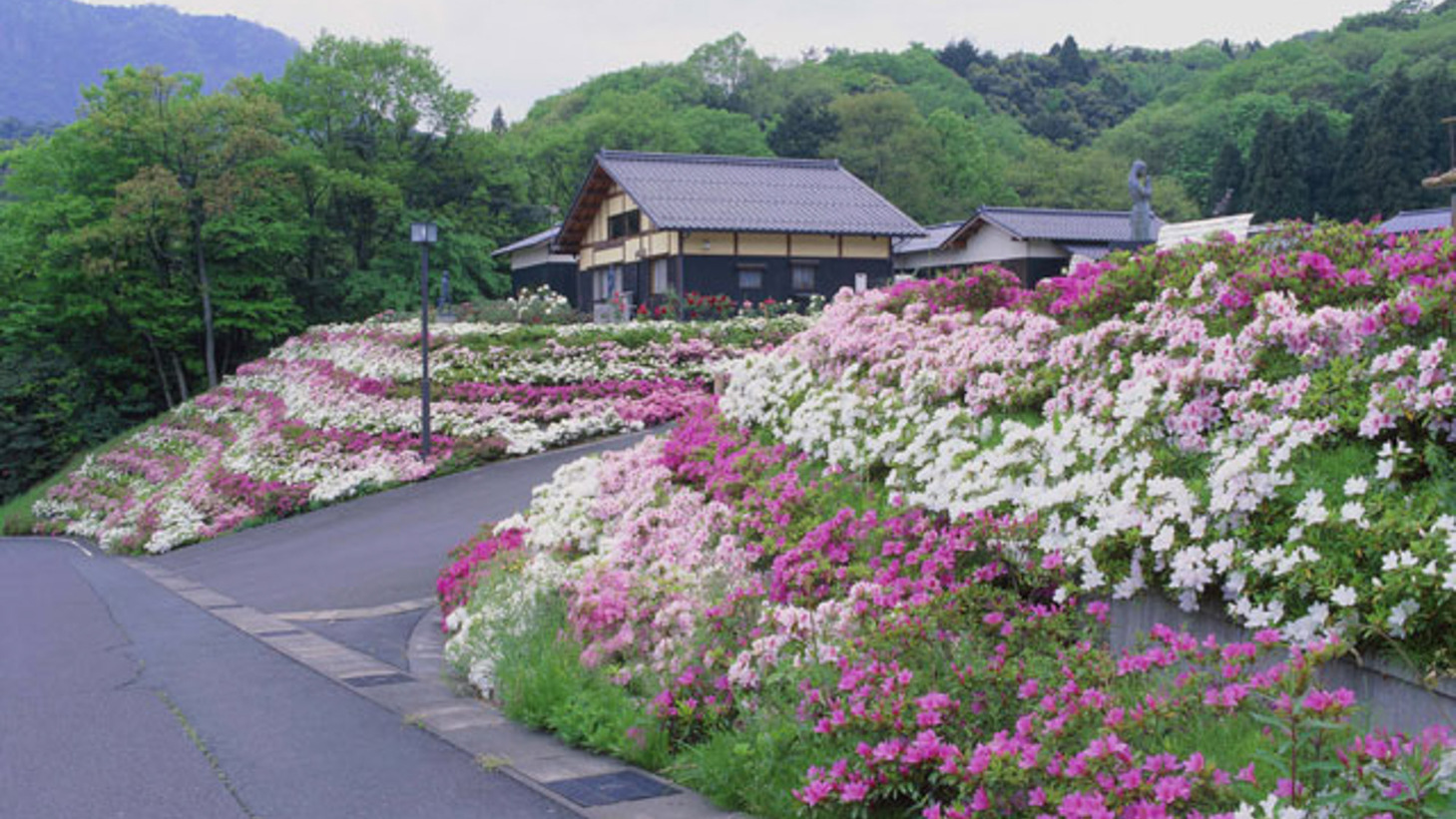 *【五色山公園】季節ごとに色鮮やかな花々が楽しめます
