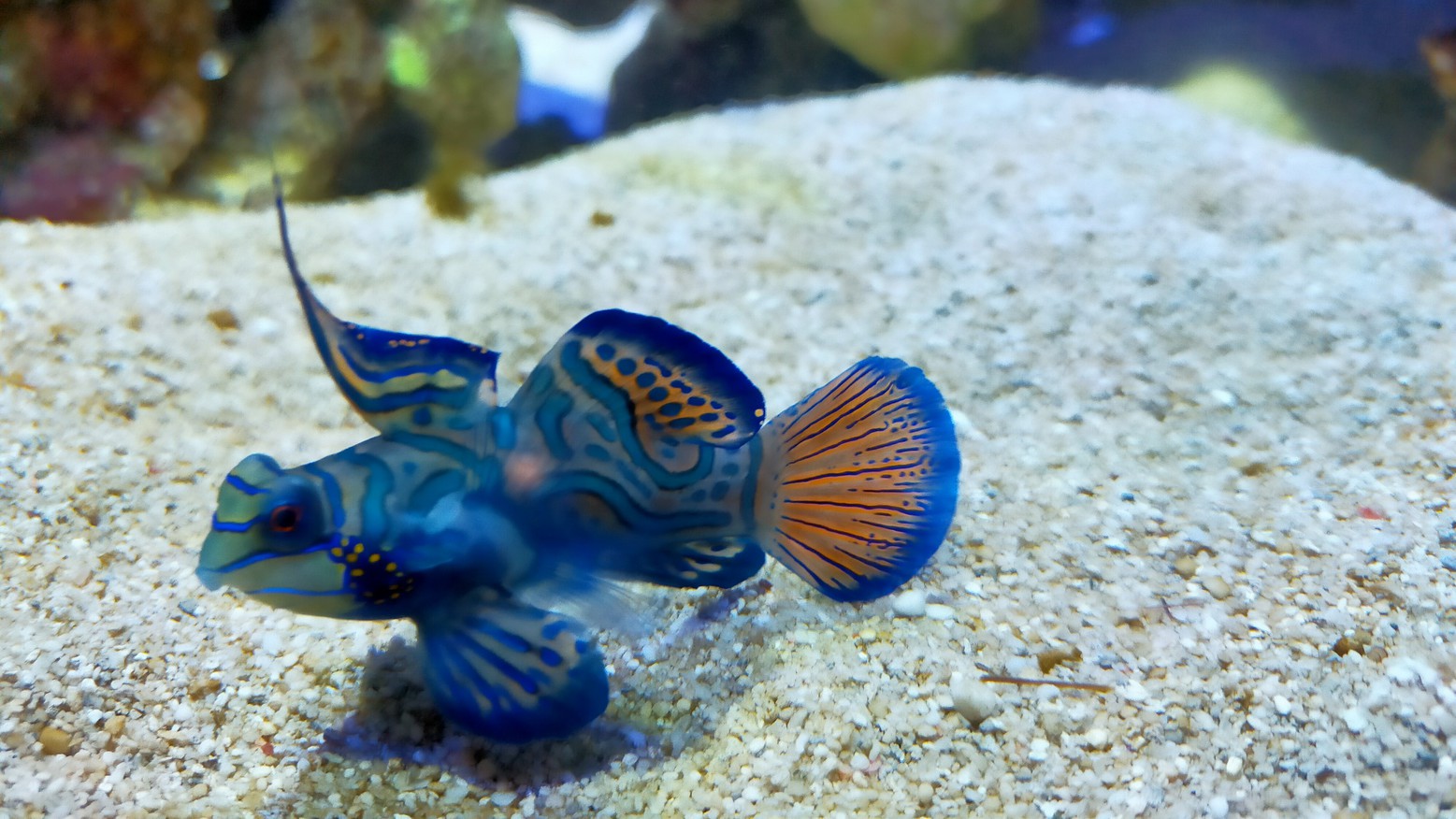 四国水族館（お車で10分）