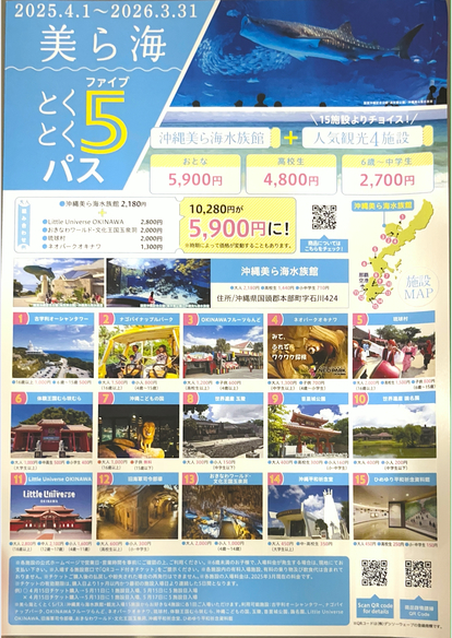 【2025年4月-2026年3月美ら海とくとく5パス】
