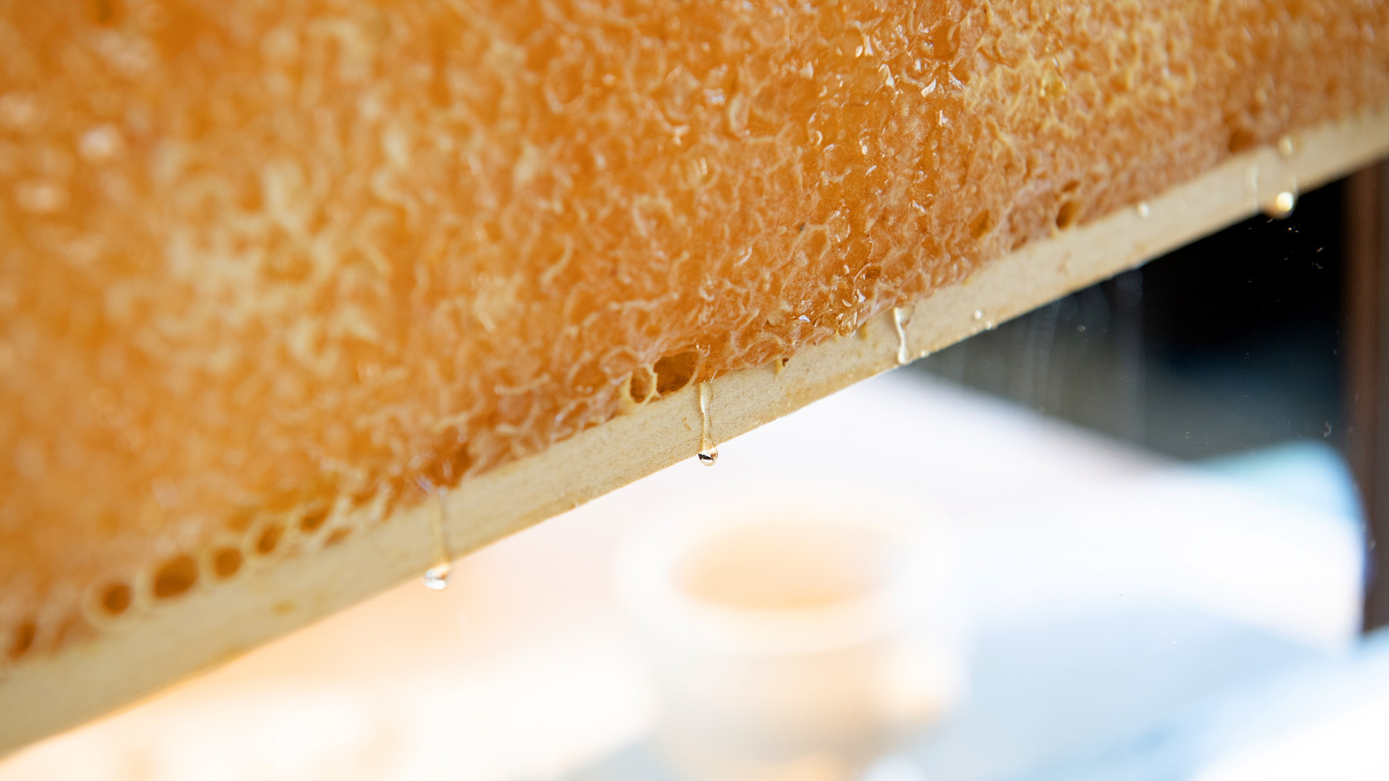 【世界の朝食】インパクト大な巣蜜のハチミツやジャムなどお好みのフレーバーを付けてお召し上がりください