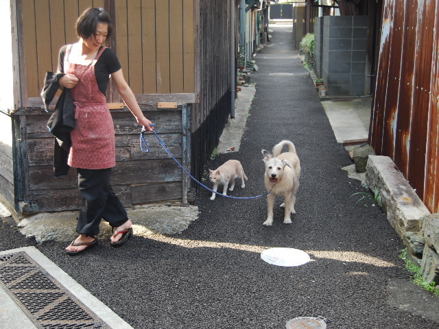 ロンとルイの仲良し散歩です