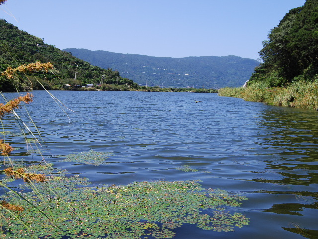 井の浦の池