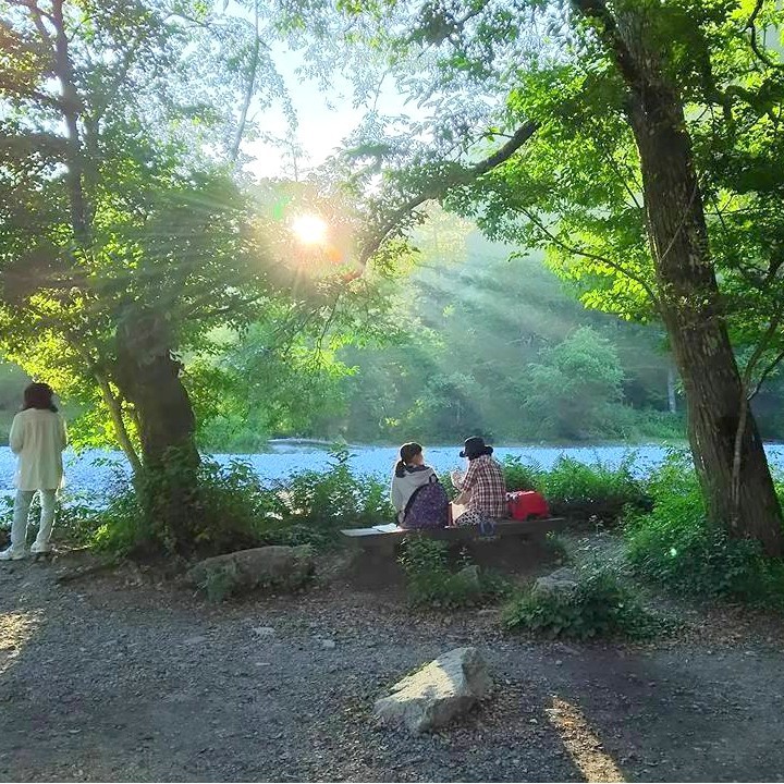 白樺荘前朝の陽ざし