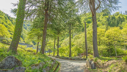 【周辺観光】滝沢公園／ホテルから徒歩約5分の癒しスポット。