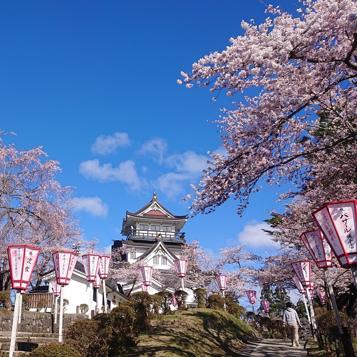 横手市『よこて桜まつり』4月開催