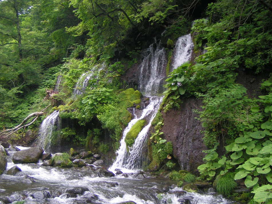吐竜の滝・夏