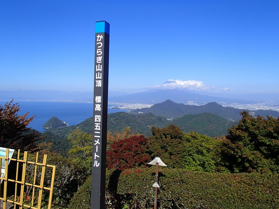 伊豆の国パノラマパーク山頂から富士山と駿河湾を臨む