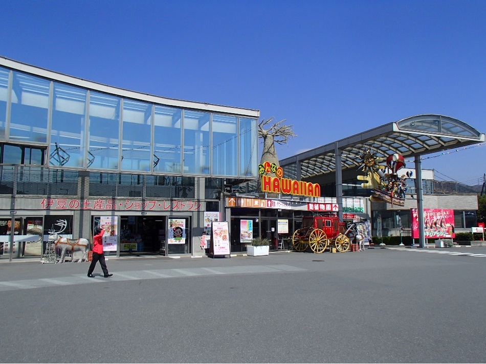 みんなのHawaiians 全天候型テーマパーク当館から車15分