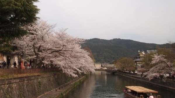 京都市美術館横にも美しい景観が。
