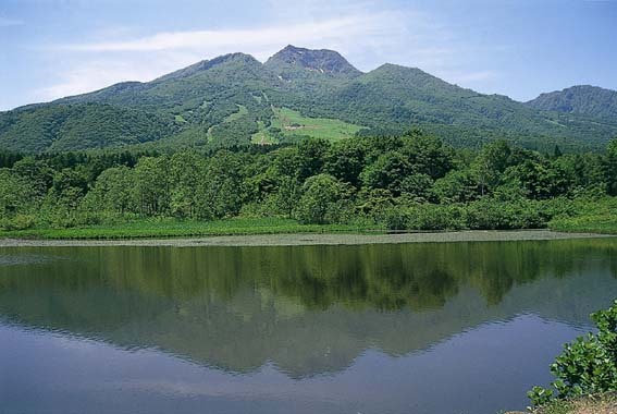 夏いもり池からの妙高山