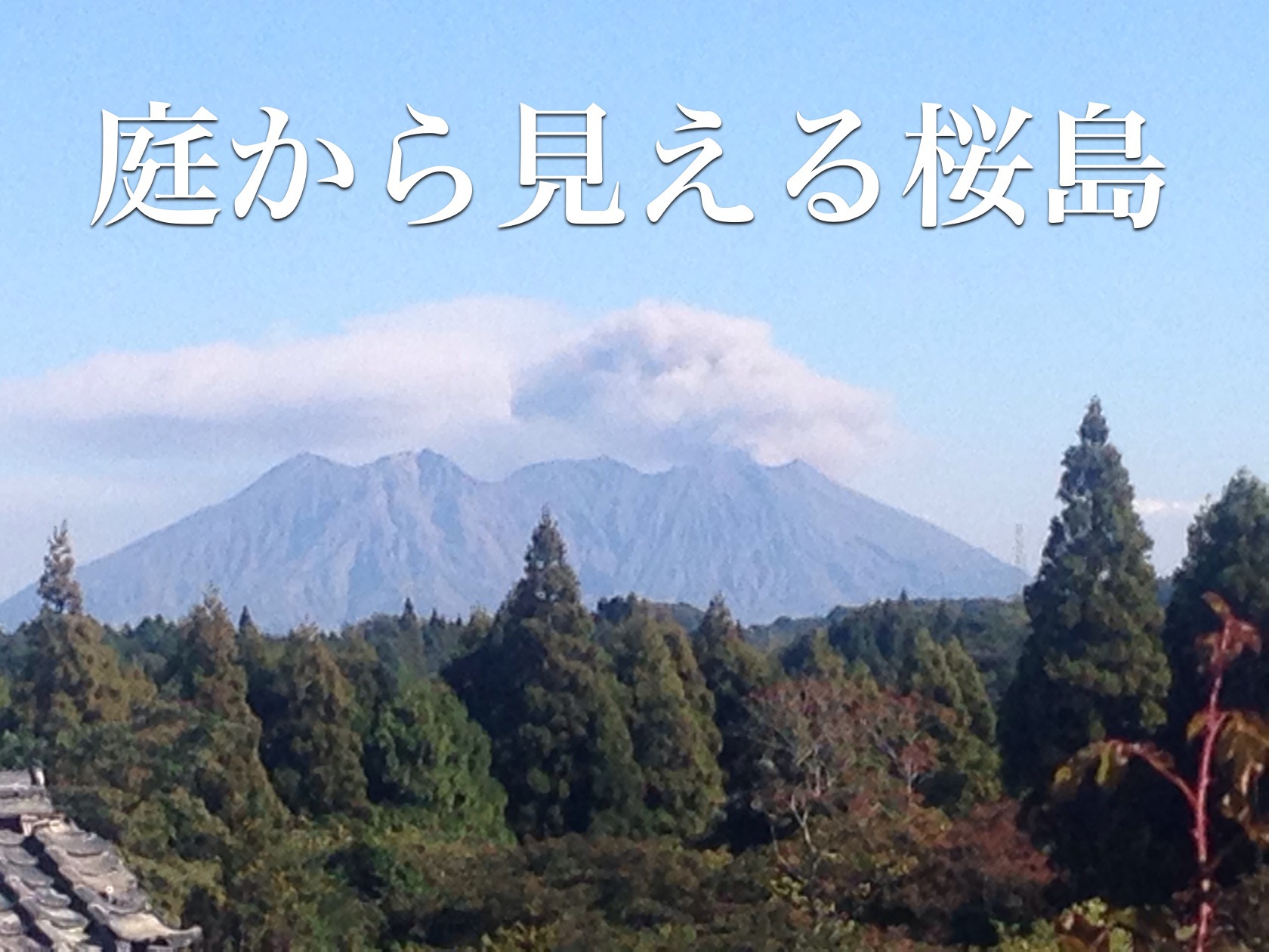 庭から見える桜島