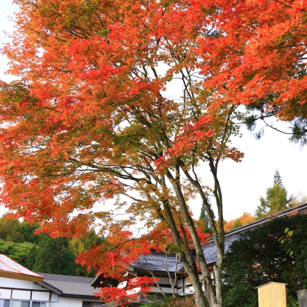This photo about Hisayamakan shared on HyHotel.com