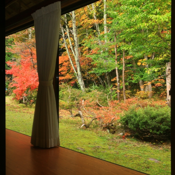 お部屋より覗くことができる秋。その美しさは息をのみます。