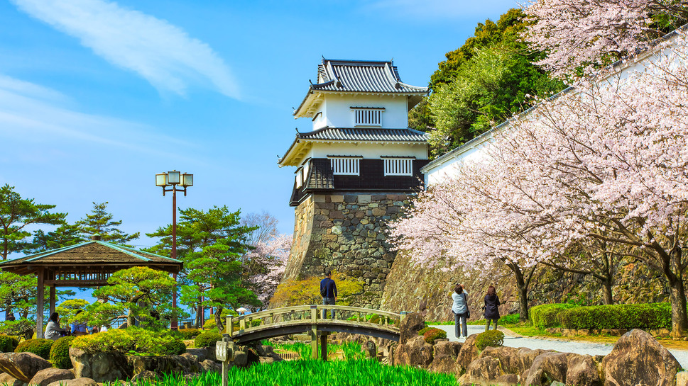 大村公園 例年の見頃：3月下旬〜4月上旬／宿から車で約40分
