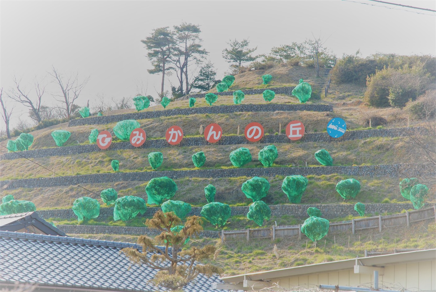 周辺施設