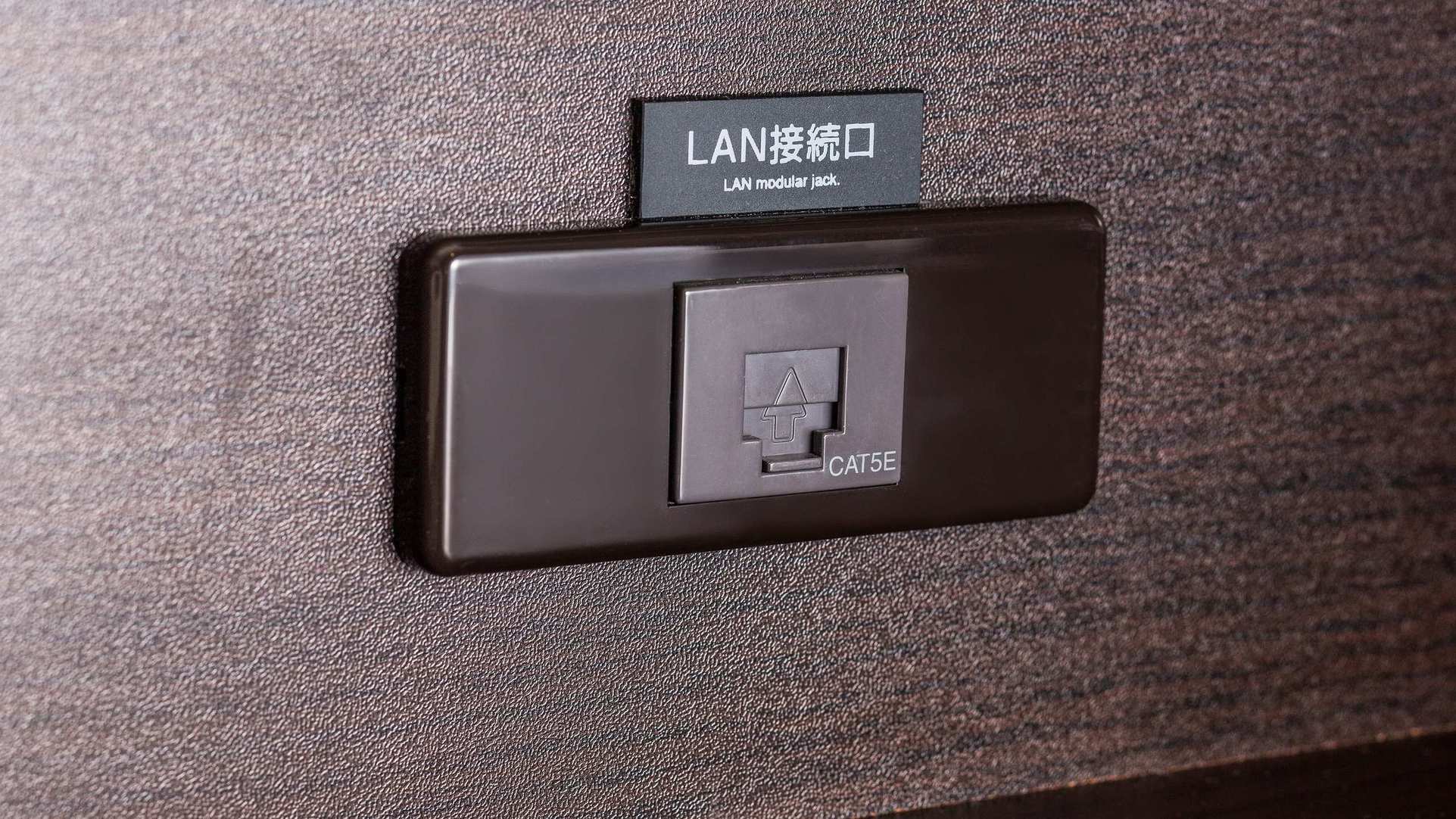 有線LAN接続口（LANケーブルはご持参ください）