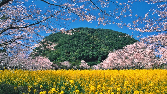 *【周辺観光】丸山公園