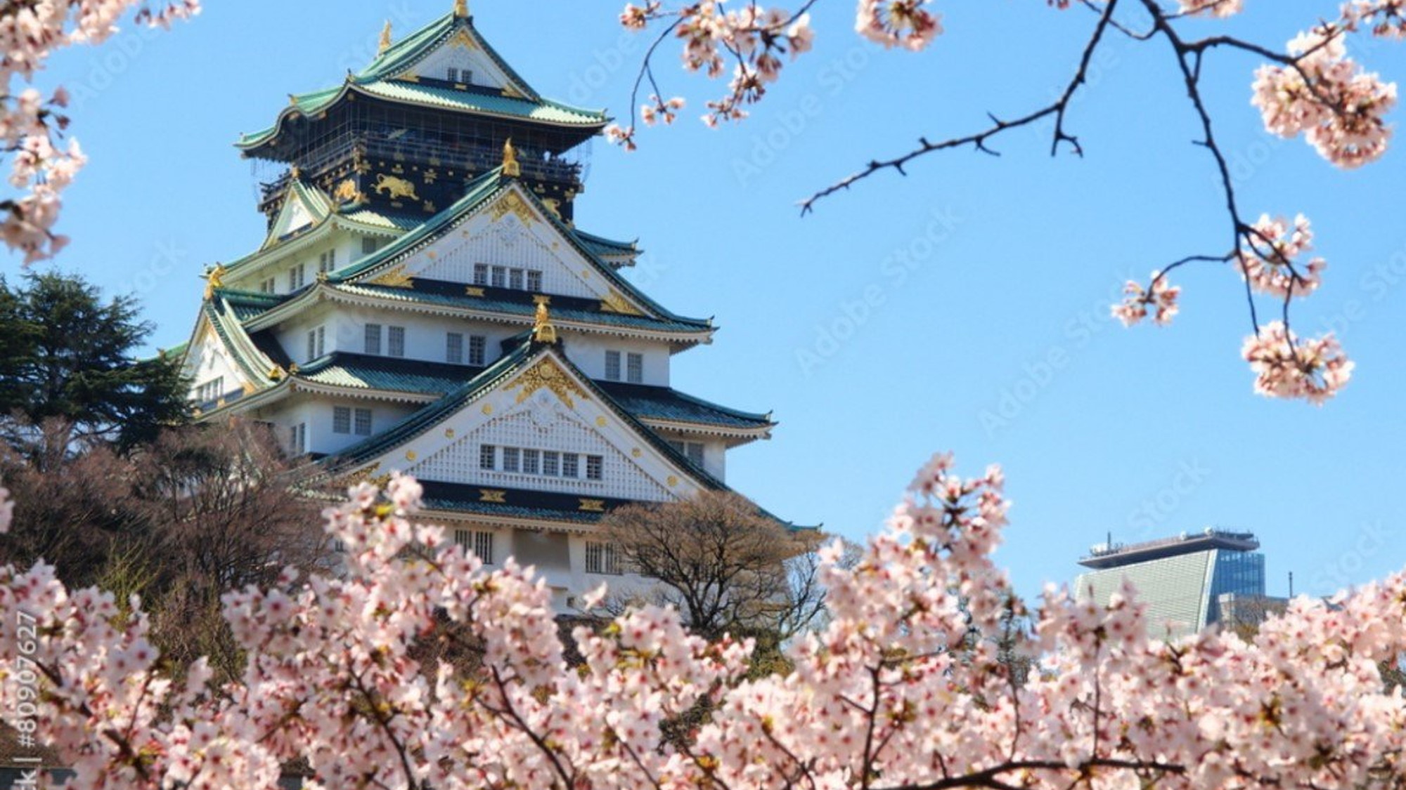 【大阪城】広大な敷地を誇る大阪城公園。四季の移ろいをお楽しみください。