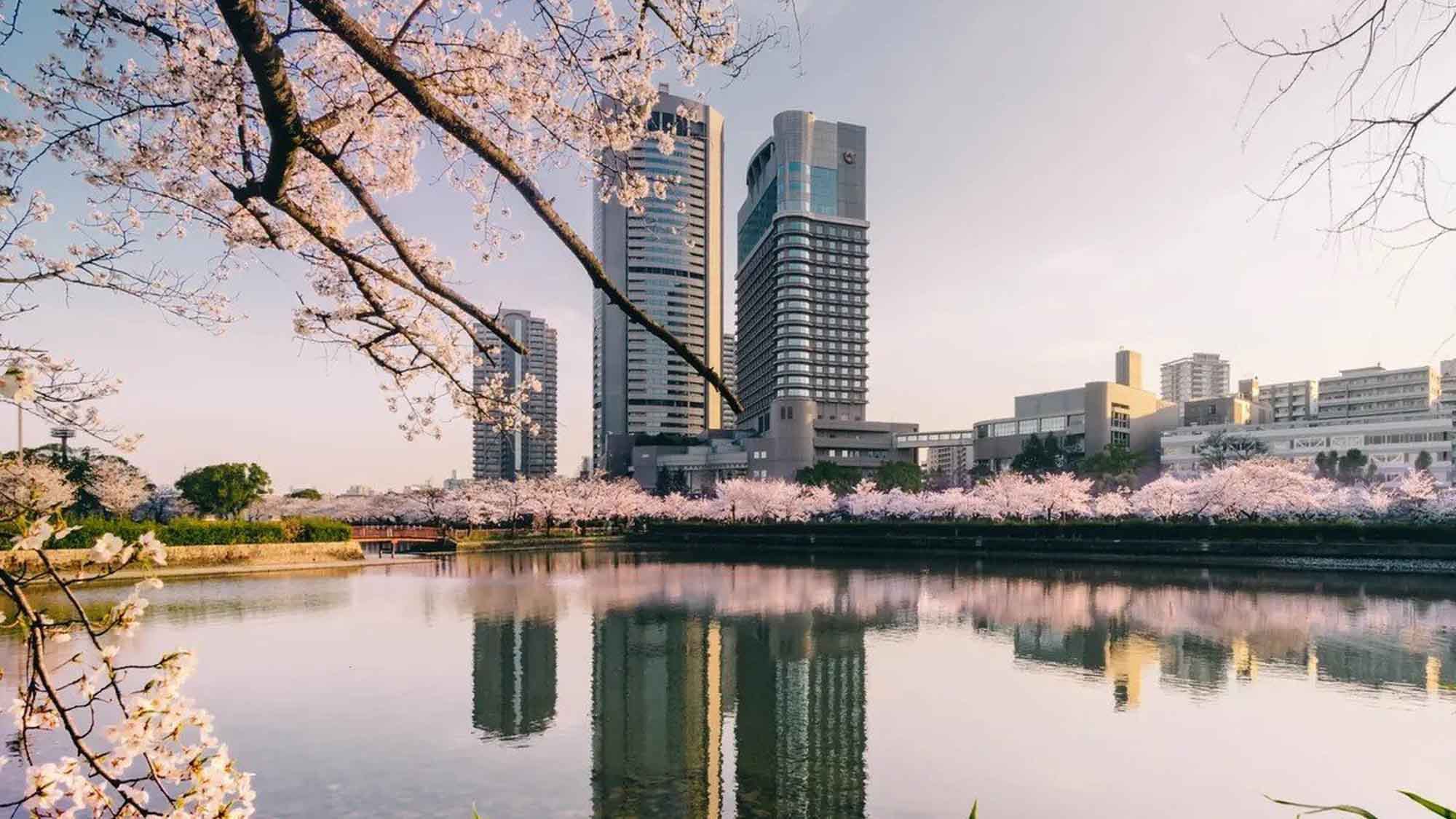 【桜の宮】古くからこのあたりは桜の名所として知られております。