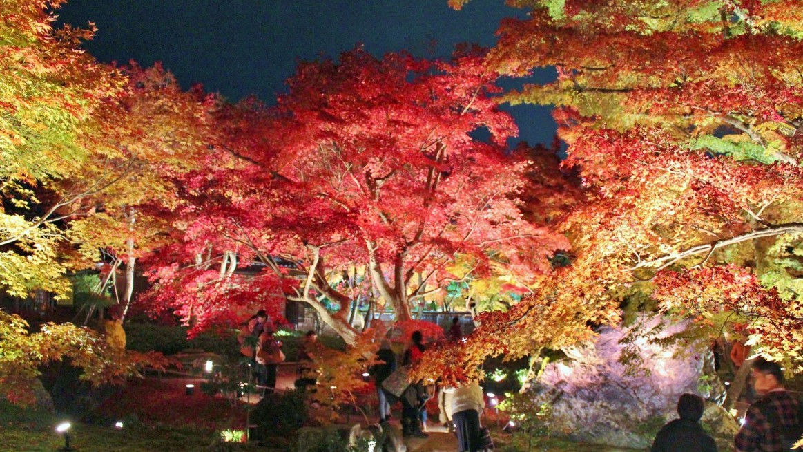 宝厳院京都嵐山にある天龍寺の塔頭寺院、宝厳院。獅子吼の庭の紅葉ライトアップの美しさは格別。