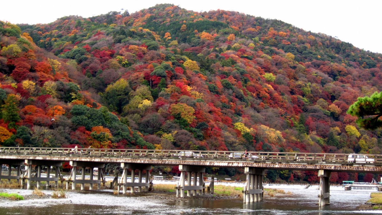 嵐山・渡月橋嵐山のシンボルとなっている渡月橋。桜や紅葉のシーズンは絶好の見どころです。