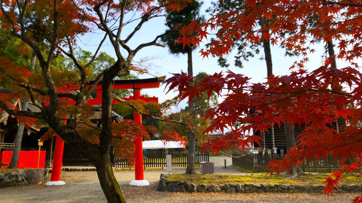 上賀茂神社例年の紅葉の見頃は11月中旬〜11月下旬