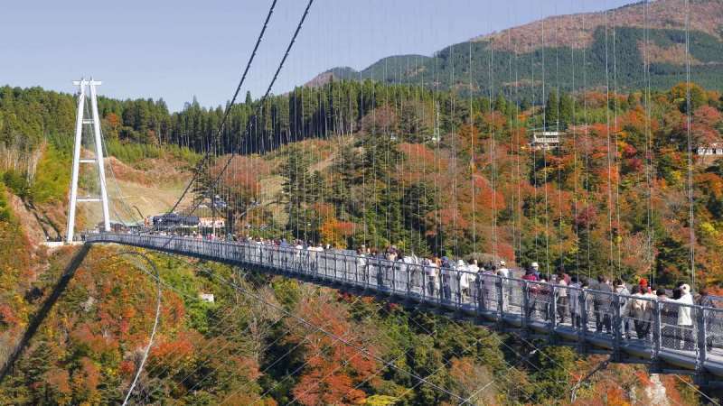 【九重夢大吊橋】長さ390m、高さ173m、幅1.5mのこの橋は、歩道専用として『日本一の高さ』を誇