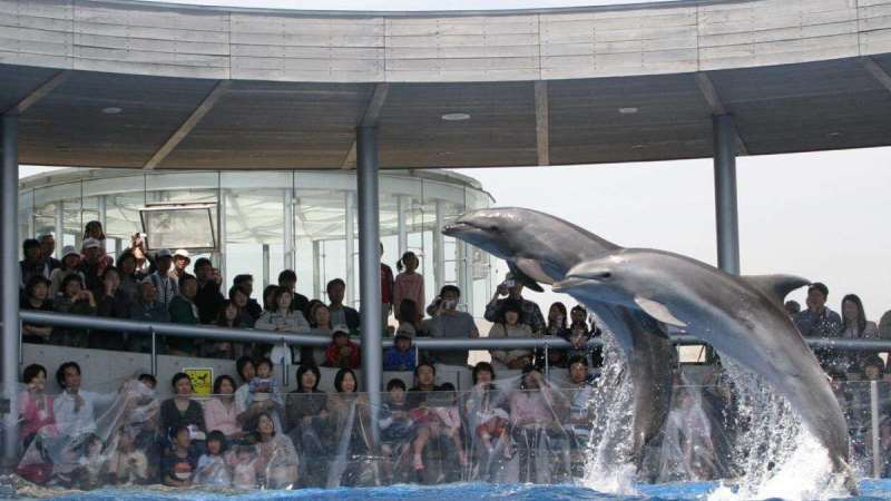 【うみたまご】動物と”;なかよくなる”;水族館。自然のままの動物たちと触れあえます！