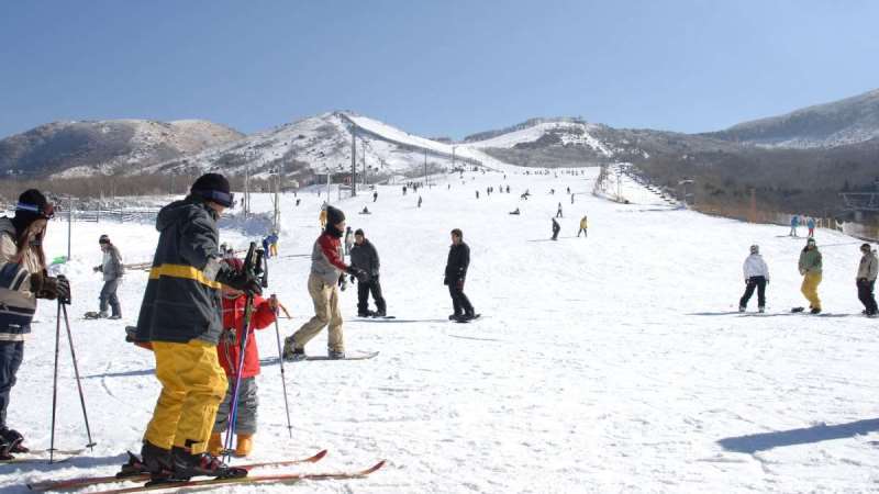 【九重森林公園スキー場】九重連山や阿蘇五岳の大パノラマを楽しめるスキー場です。