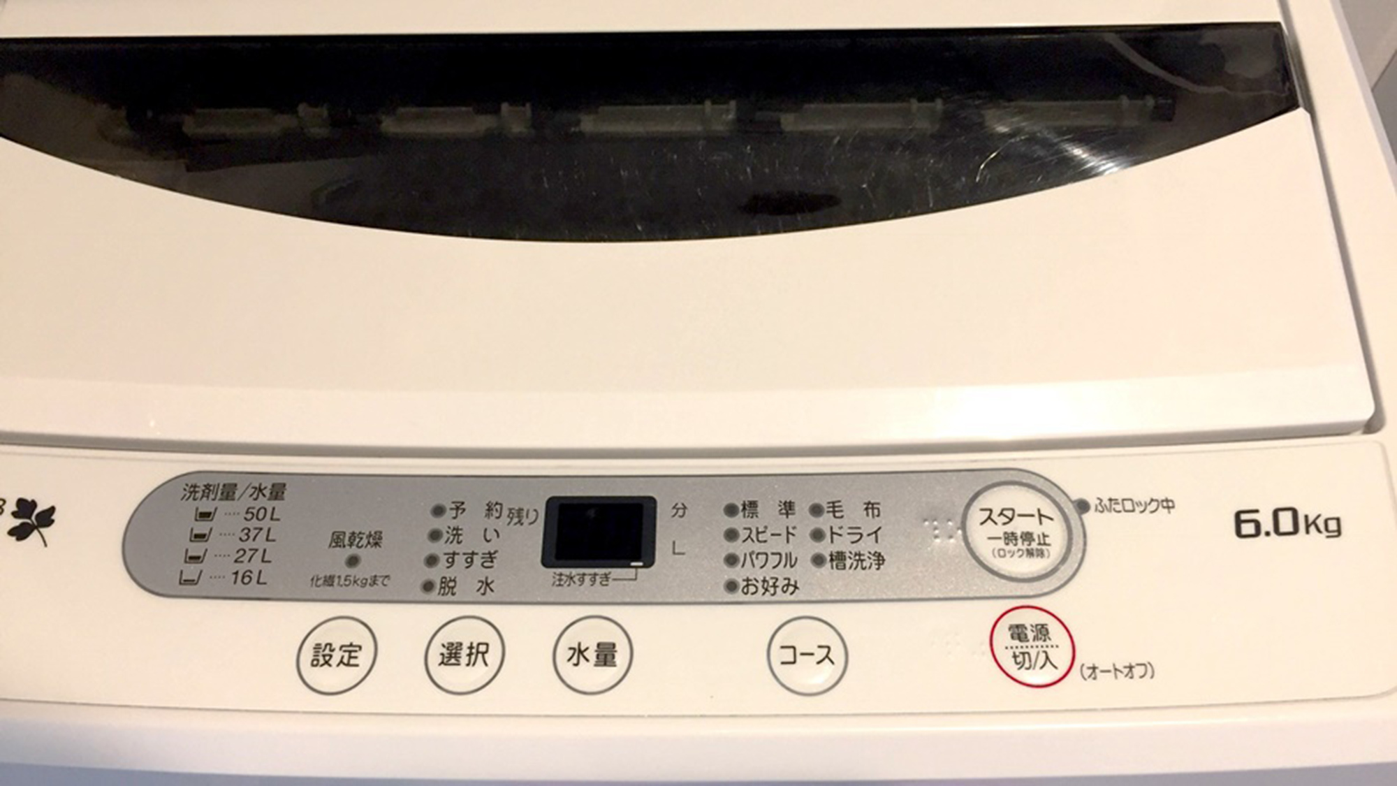 Saraswati Image 3, Okinawa Main island, Japan