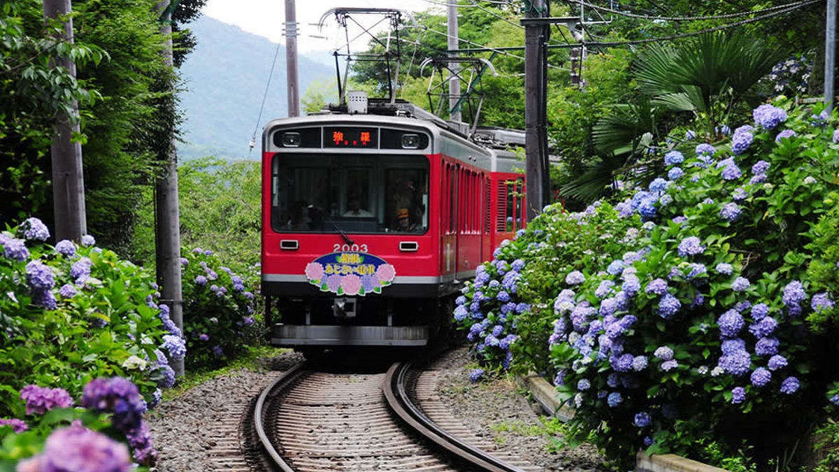 【箱根登山鉄道】強羅駅からは無料送迎バスがございます（運行時間：15時〜18時）