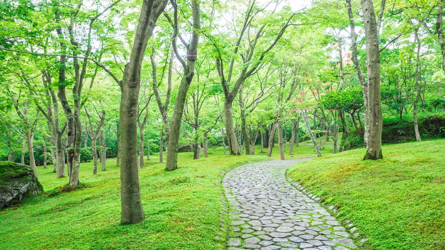 箱根美術館】アクセス抜群美しい庭園に癒されて／当館から徒歩約5分