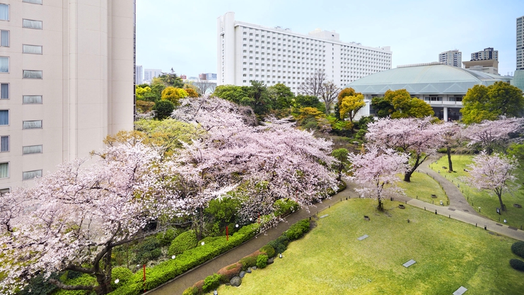 お部屋で花見（日本庭園ビューは和室Bのみです）