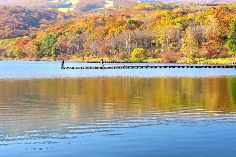 バラギ湖の紅葉（あいさいから車で３分）