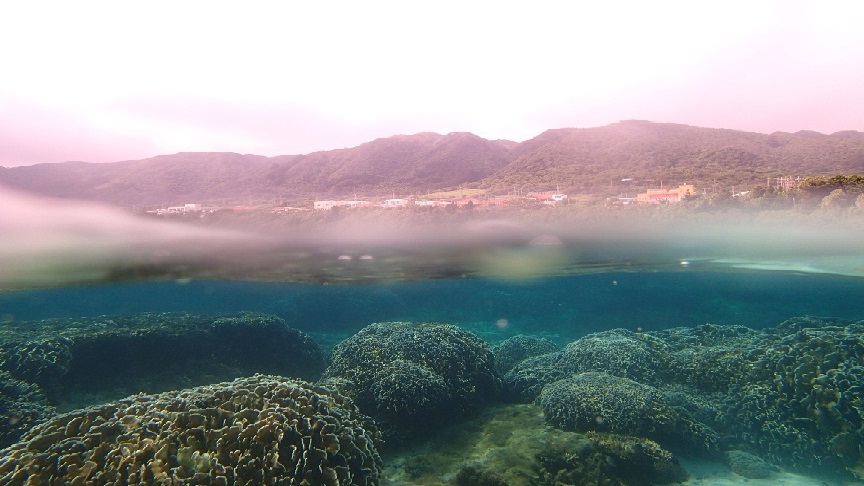 当館前の海は珊瑚の群生地
