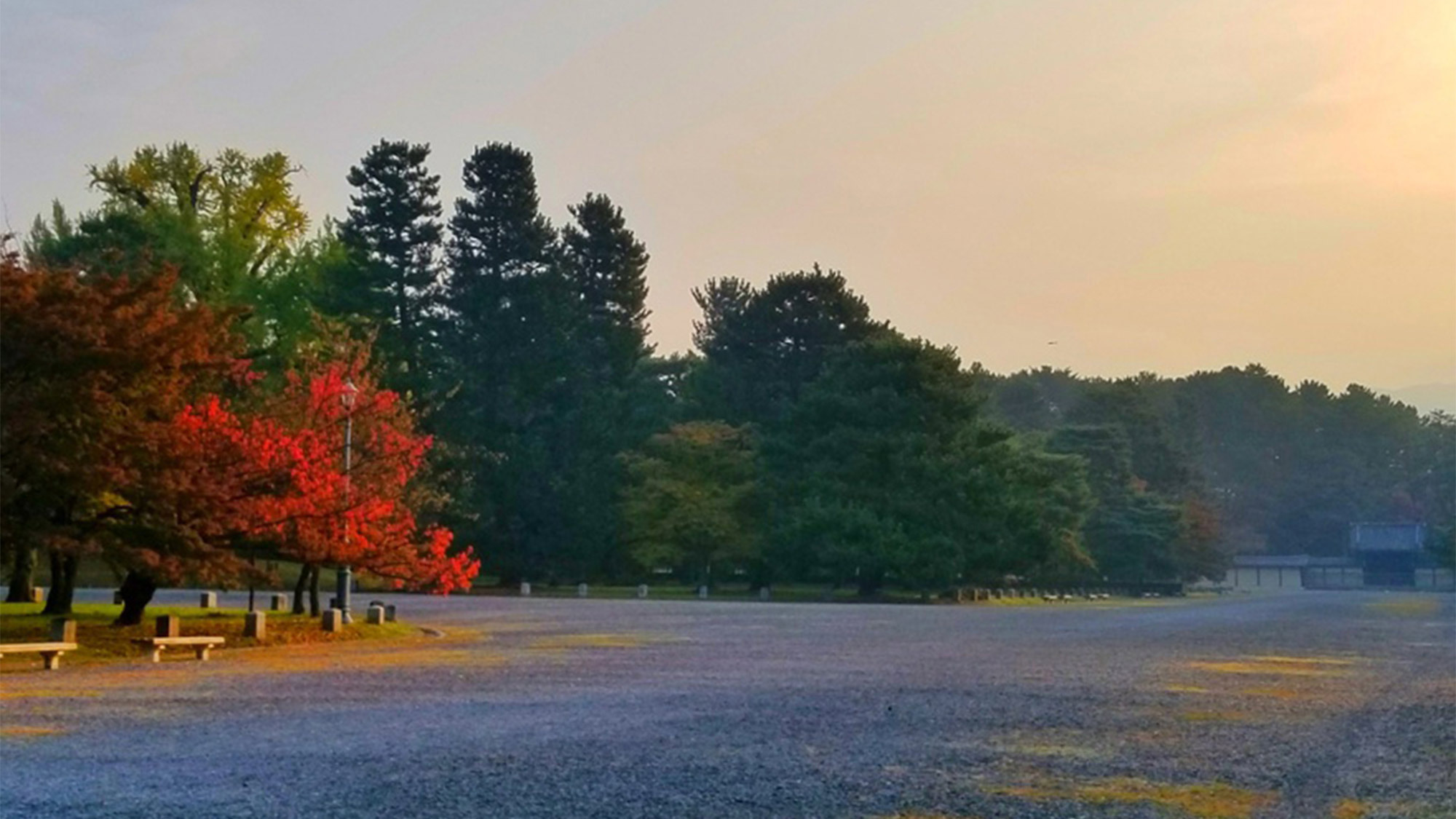 ・＜京都御所＞秋の景色です。宿から徒歩ですぐの所にあります