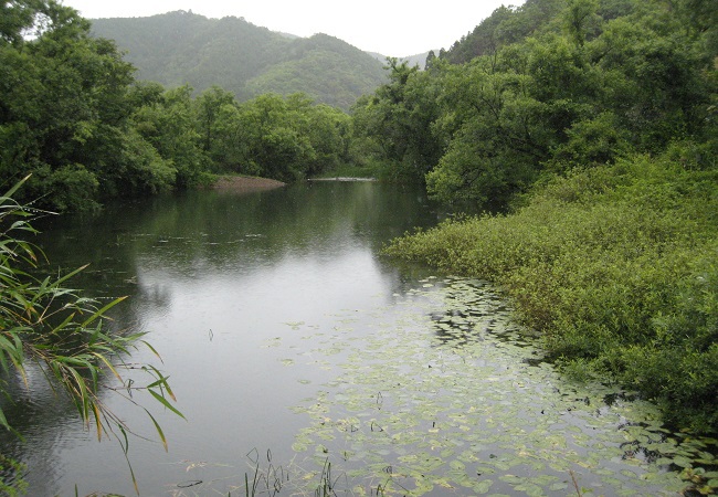 北川湿原