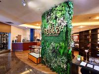 ★当館人気【毎朝食付キャンペーン】6月までの宿泊限定★食べ放題ブッフェ朝食満喫！