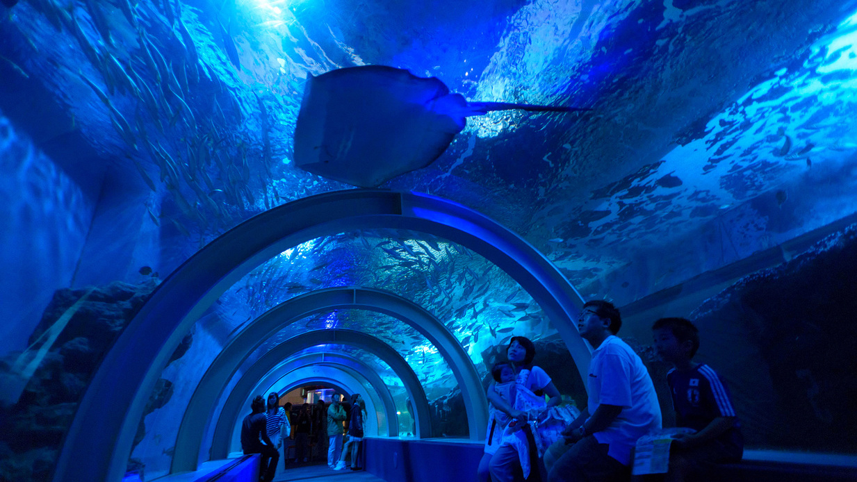 【青森市観光名所】浅虫水族館