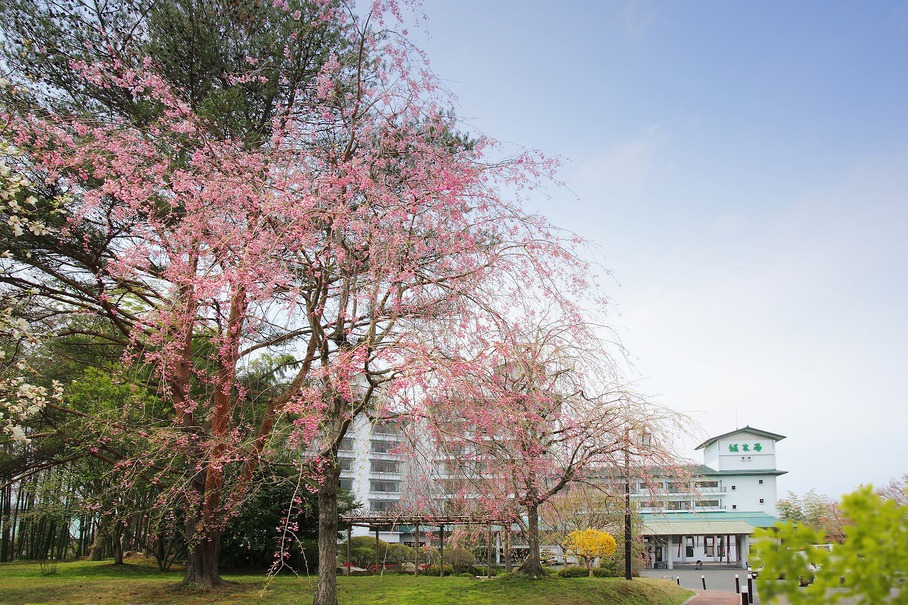 春の庭園春の草花がお出迎えいたします