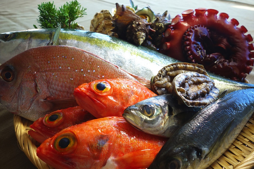 茨城の魚介類