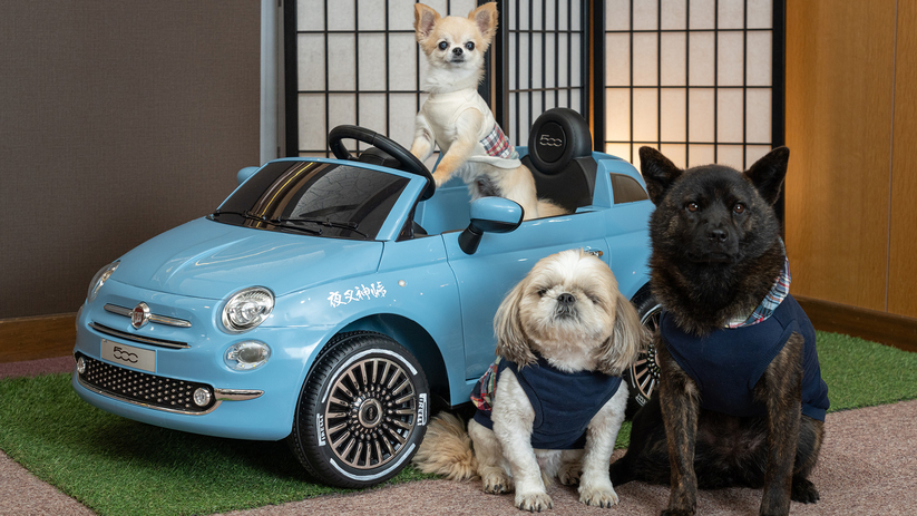 Yuyado Momonoki Onsen Sanwaso (Stay with Pet) Image 5, Minami-Alps, Japan