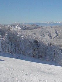ski1