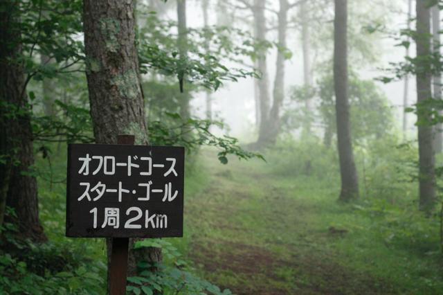 遊歩道