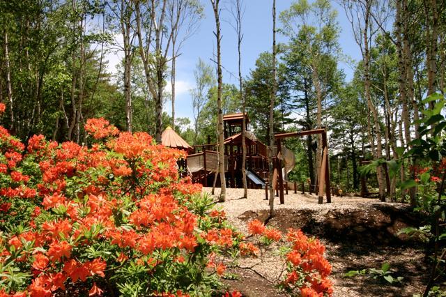 レンゲツツジと遊具