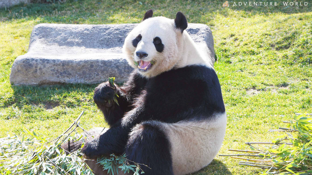 好奇心旺盛な桃浜